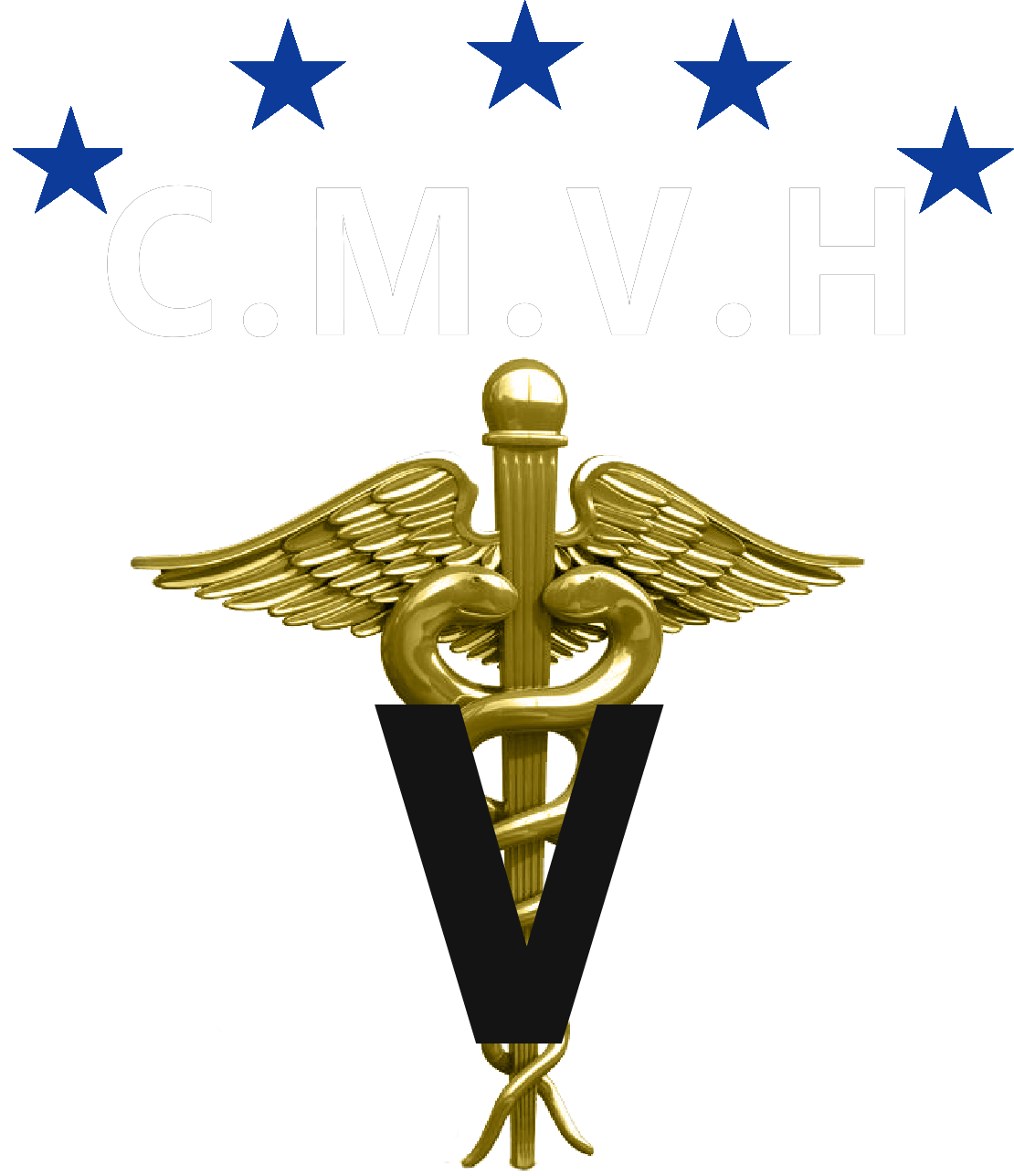 Logo Oficial CMVH